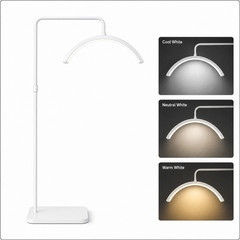 LED Half Moon Light – Professional Aesthetic & Salon